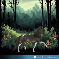 Horse Color:Buckskin Tobiano 