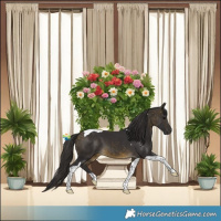 Horse Color:Buckskin Tobiano 