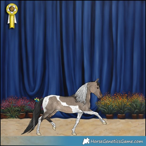Horse Color:Brown Dun Tobiano 