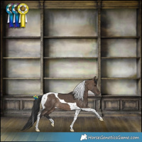 Horse Color:Brown Dun Tobiano 