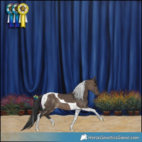 Horse Color:Brown Dun Tobiano 