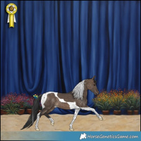 Horse Color:Brown Dun Tobiano 