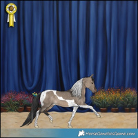 Horse Color:Brown Dun Tobiano