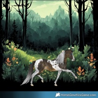 Horse Color:Buckskin Splash Tobiano 