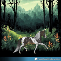 Horse Color:Buckskin Splash Tobiano