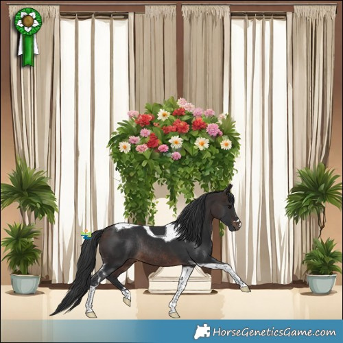 Horse Color:Brown Tobiano Rabicano 