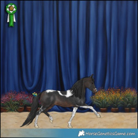 Horse Color:Brown Tobiano Rabicano