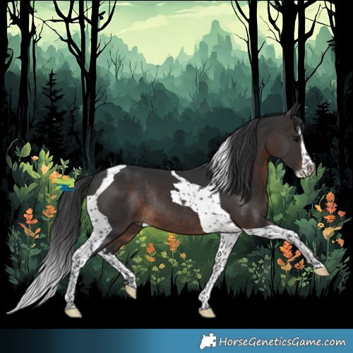 Horse Color:Brown Splash Tobiano Rabicano 
