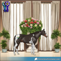 Horse Color:Liver Chestnut Tobiano 