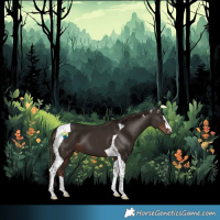 Horse Color:Liver Chestnut Tobiano 