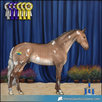 Horse Color:White Spotted Silver Bay Dun