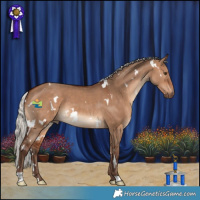 Horse Color:White Spotted Silver Bay Dun
