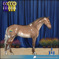 Horse Color:White Spotted Silver Bay Dun