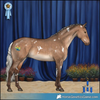 Horse Color:White Spotted Silver Bay Dun 