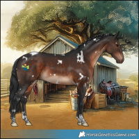 Horse Color:White Spotted Brown Tobiano 