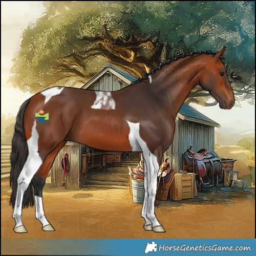 Horse Color:Bay Tobiano 