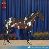 Horse Color:White Spotted Brown 