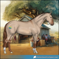 Horse Color:Red Dun 