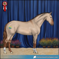 Horse Color:Red Dun