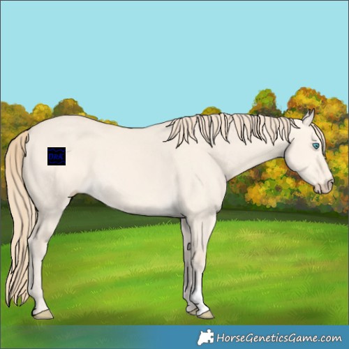 Horse Color:Perlino Dun 