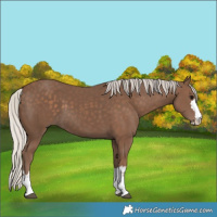Horse Color:Silver Black 