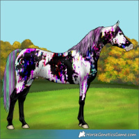 Horse Color:Painted Watercolor White Spotted Smoky Black Ice