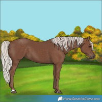 Horse Color:Silver Black 
