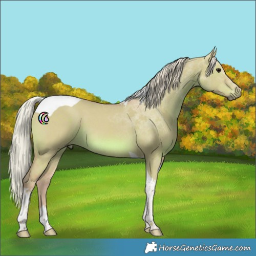 Horse Color:Watercolor Silver Grullo Tobiano