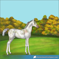 Horse Color:Nacre White Spotted Silver Grullo Ice 