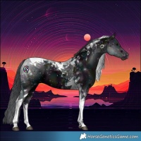 Horse Color:Midnight Black Tobiano 