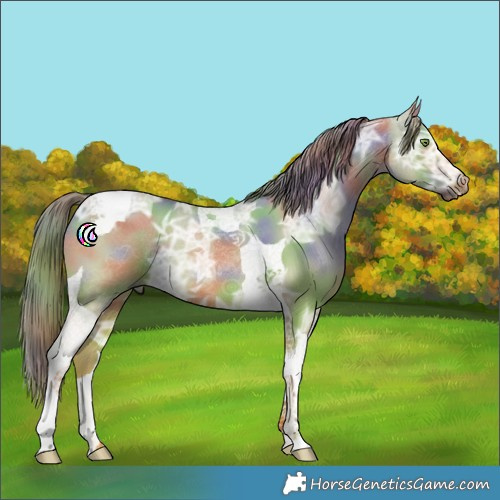 Horse Color:Nacre Red Dun Ice Tobiano