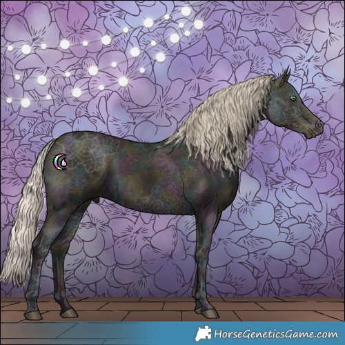 Horse Color:Midnight Silver Grullo Ice 