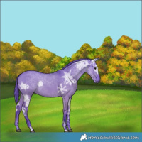 Horse Color:Watercolor Grullo Ice
