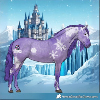 Horse Color:Watercolor Grullo Ice 
