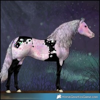 Horse Color:Nacre Watercolor Silver Black Ice Tobiano Appaloosa