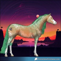 Horse Color:Watercolor Bay Ice 