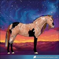 Horse Color:Painted Bay Ice Tobiano 