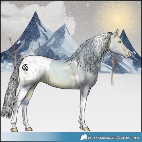 Horse Color:Watercolor Bay Pearl Tobiano Appaloosa 
