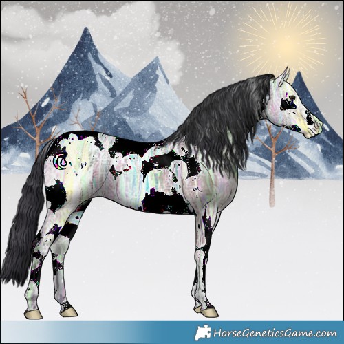 Horse Color:Bay Ice Splash Tobiano 