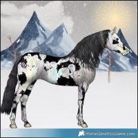 Horse Color:Bay Ice Splash Tobiano 