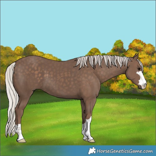 Horse Color:Silver Black 
