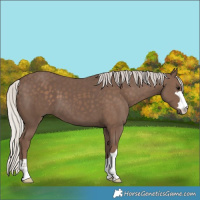 Horse Color:Silver Black 