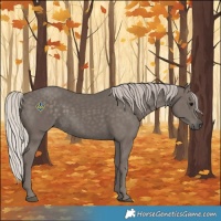 Horse Color:Silver Black 