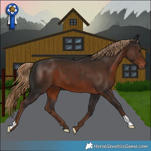Horse Color:Liver Chestnut 