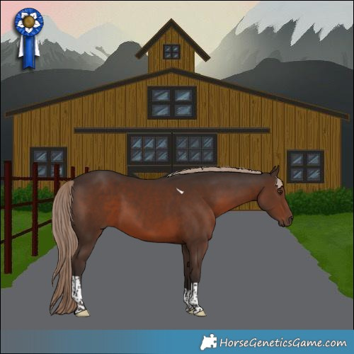 Horse Color:Liver Chestnut Tobiano 