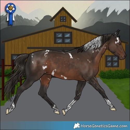 Horse Color:White Spotted Liver Chestnut Tobiano 