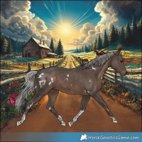 Horse Color:White Spotted Silver Black Tobiano