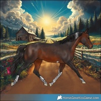 Horse Color:Brown Tobiano 