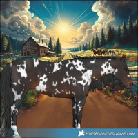 Horse Color:White Spotted Brown 