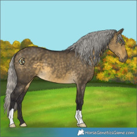Horse Color:Silver Buckskin Dun